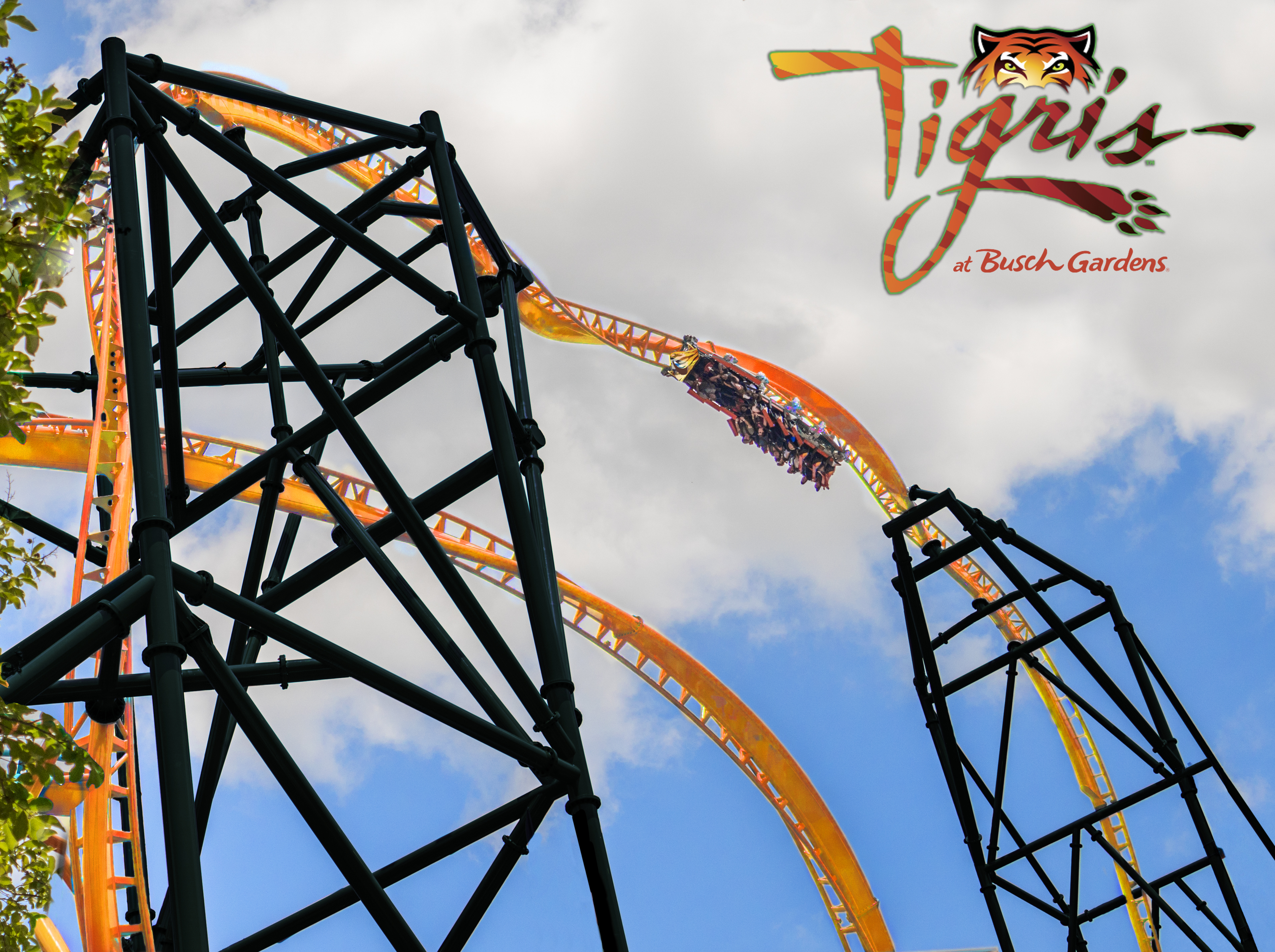 Tigris TripleLaunch Coaster announced for Busch Gardens