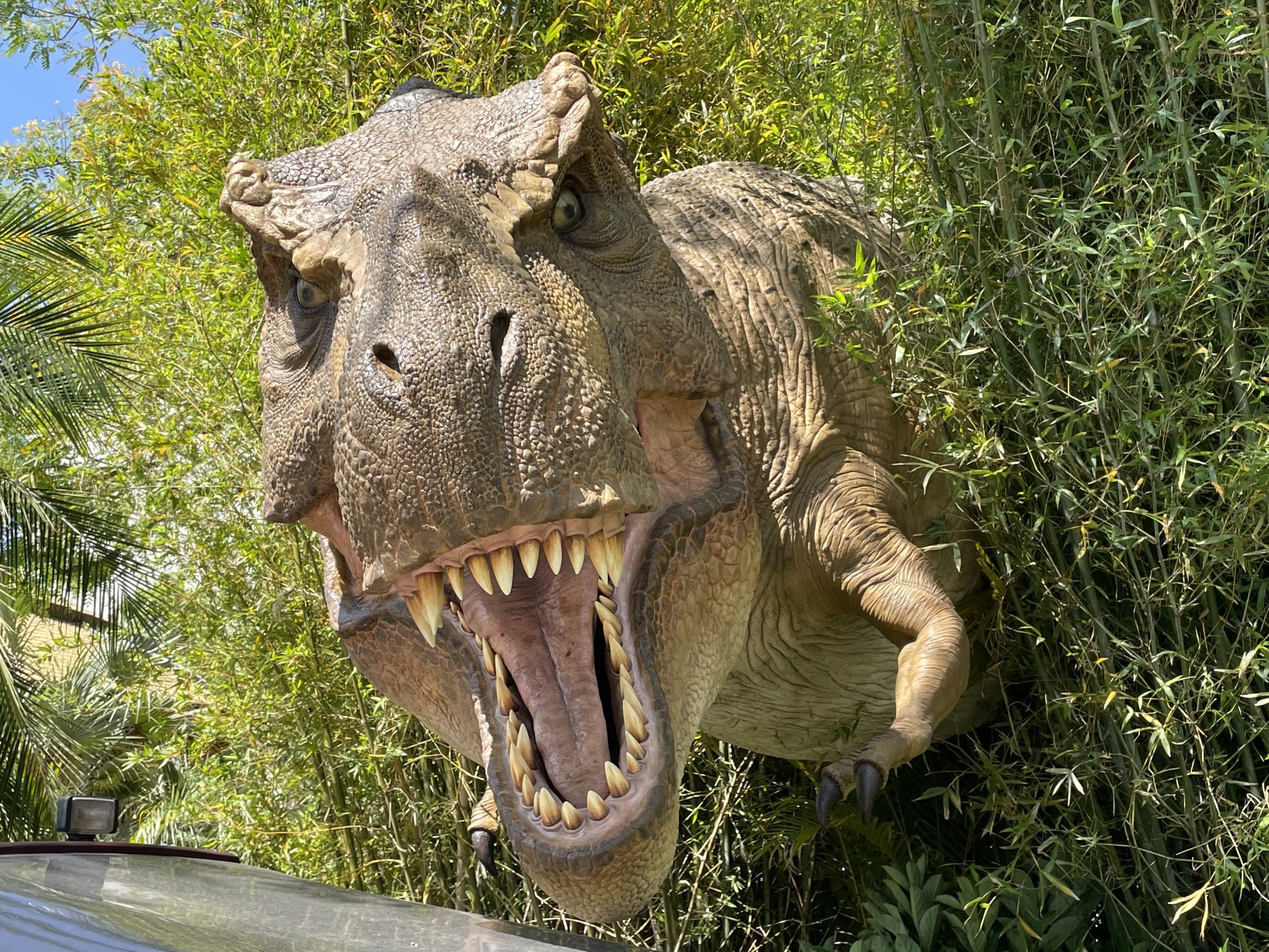 TRex photo op returns to Jurassic Park in Islands of Adventure