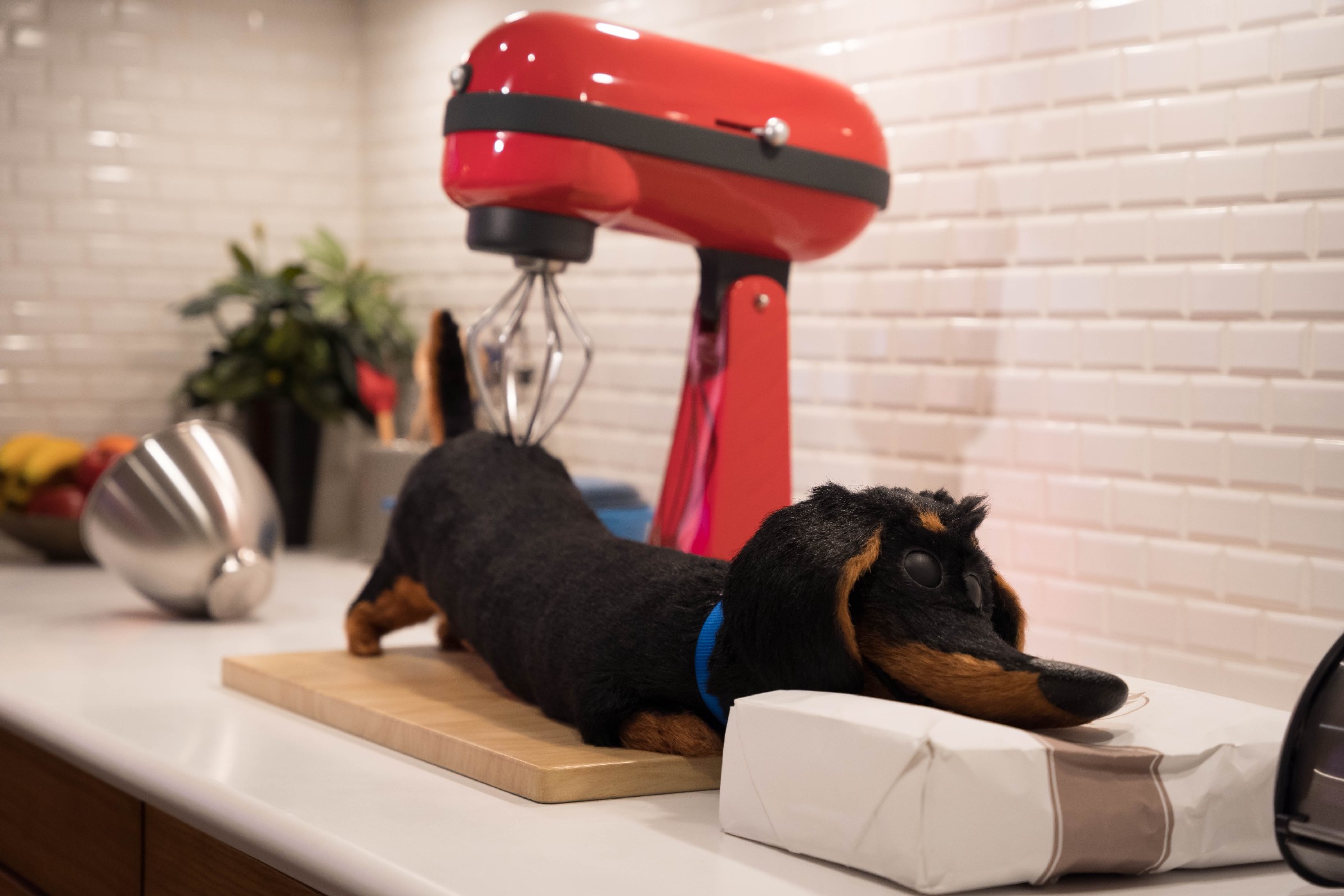 REVIEW The Secret Life of Pets Off the Leash! at Universal Studios