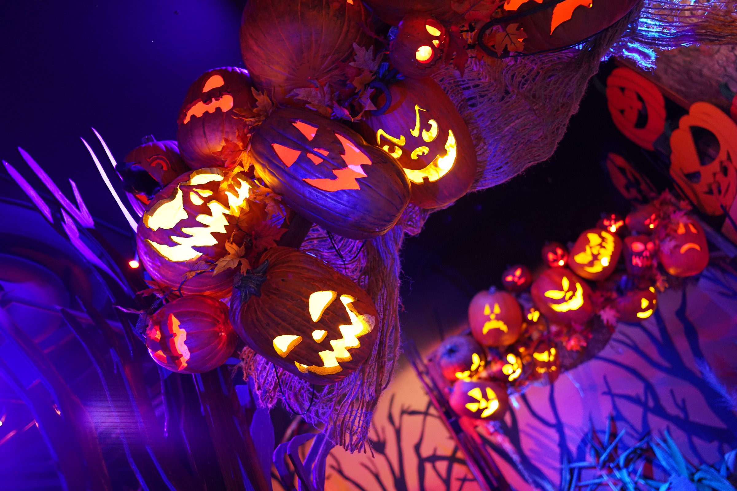 REVIEW Halloween Horror Nights 31 at Universal Orlando Inside Universal