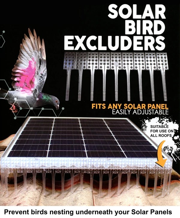 Solar Panel Bird Proofing that Works Insight Security