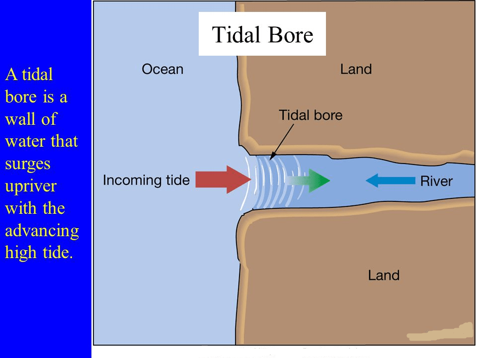 Types of Tides INSIGHTS IAS Simplifying UPSC IAS Exam Preparation
