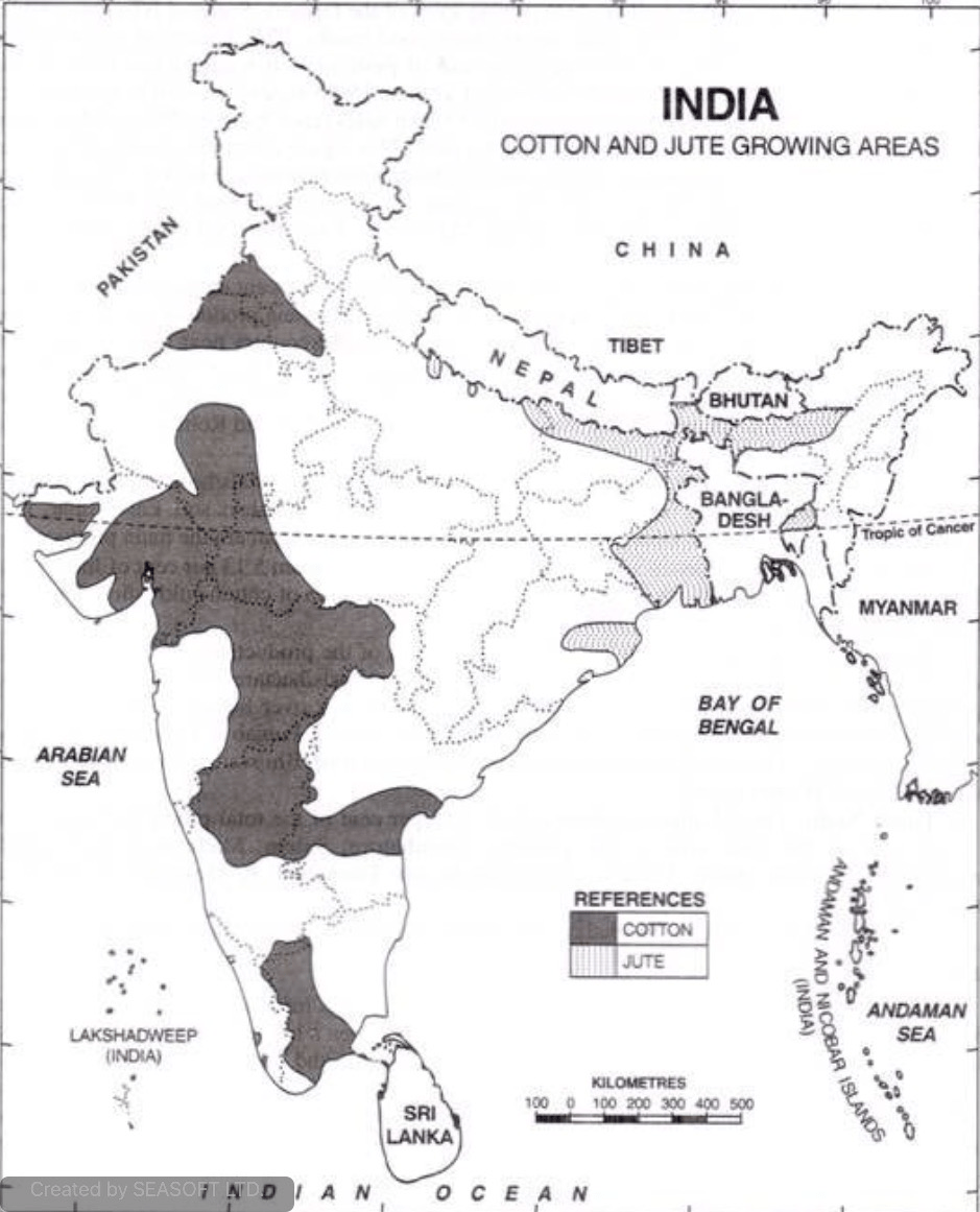 Major Crops grown in India INSIGHTS IAS Simplifying UPSC IAS Exam
