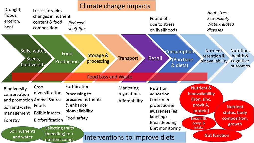 food insecurity