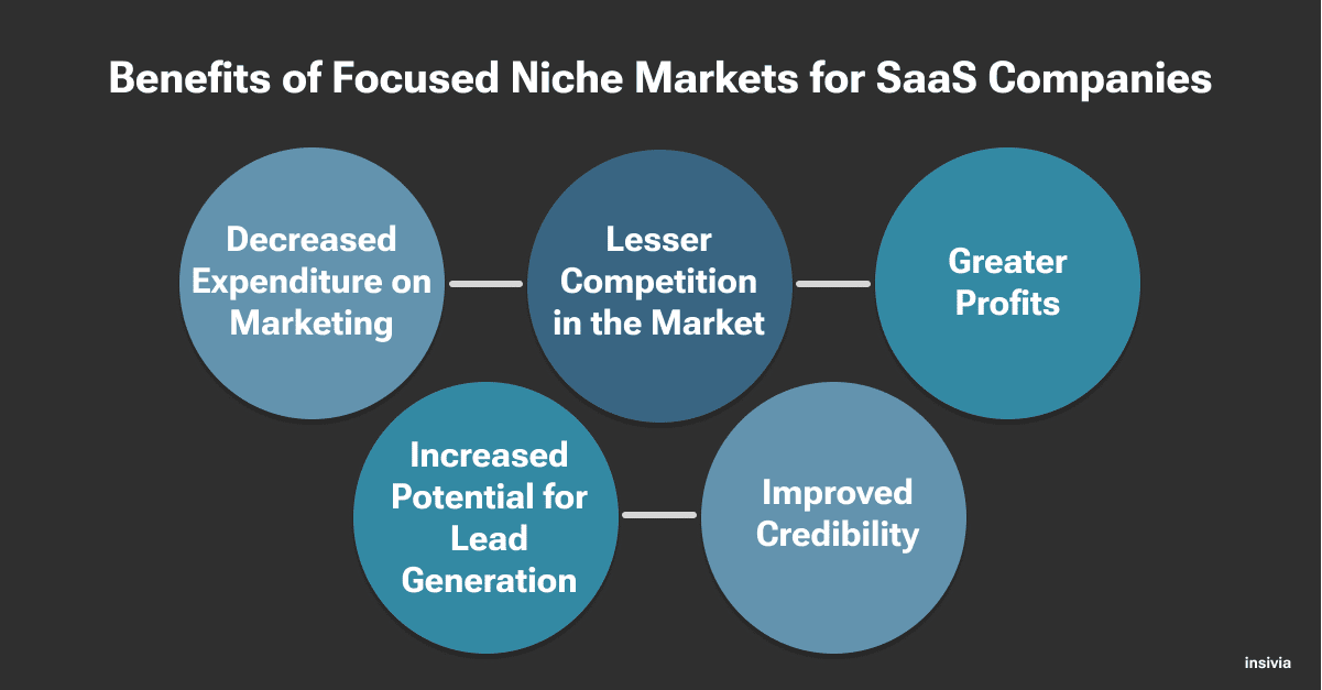 How Technology Companies Can Leverage Focused Niche Markets Insivia