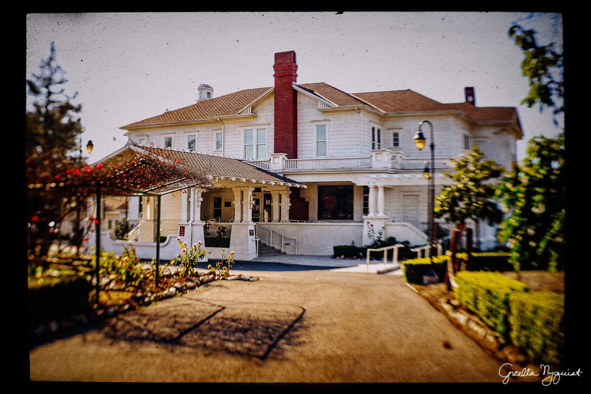 Irvine Katie Wheeler Library Grounds Lensbaby Blog Circle Inspired