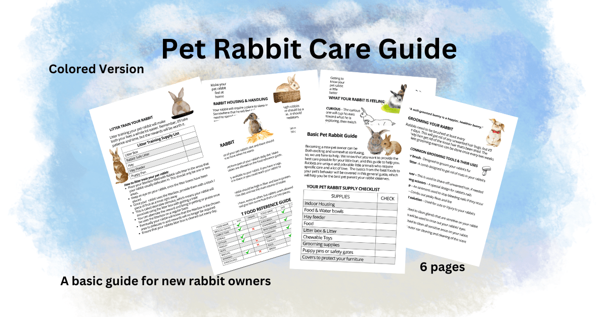 Basic Pet Rabbit Guide Booklet Color Version Inspired Fun