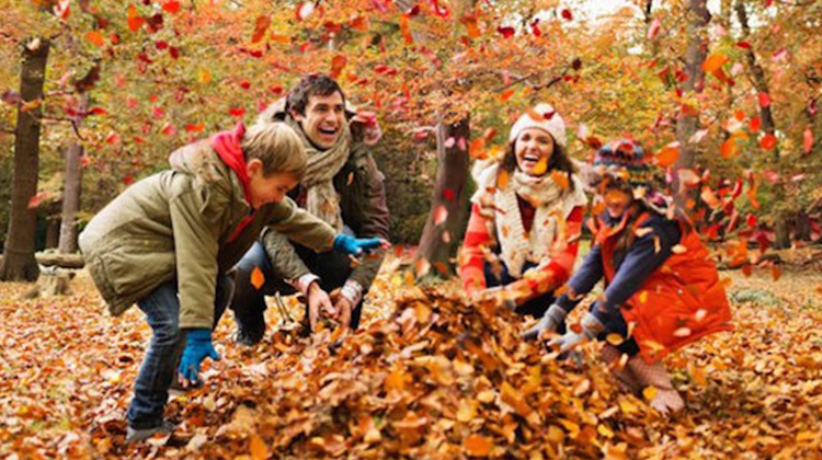 13 Creative Autumn Activities That Will "Leaf" You Excited For Fall