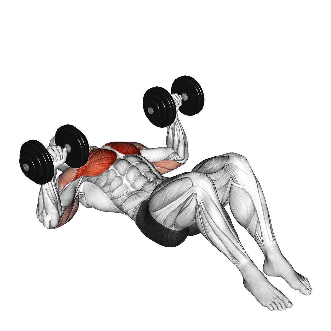 7 Best Dumbbell Bench Press Variations (With Pictures) Inspire US