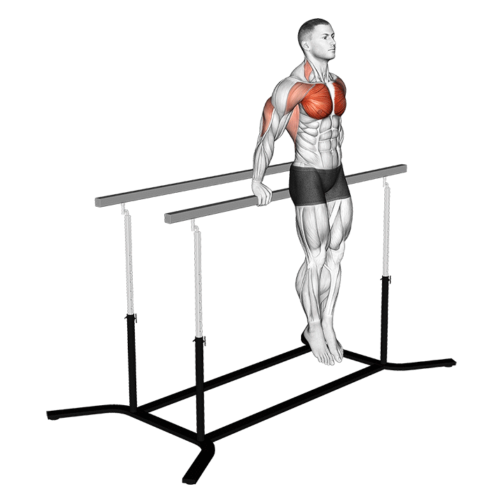 14 Best Bench Dip Alternatives for Big Gains (With Pictures) Inspire US