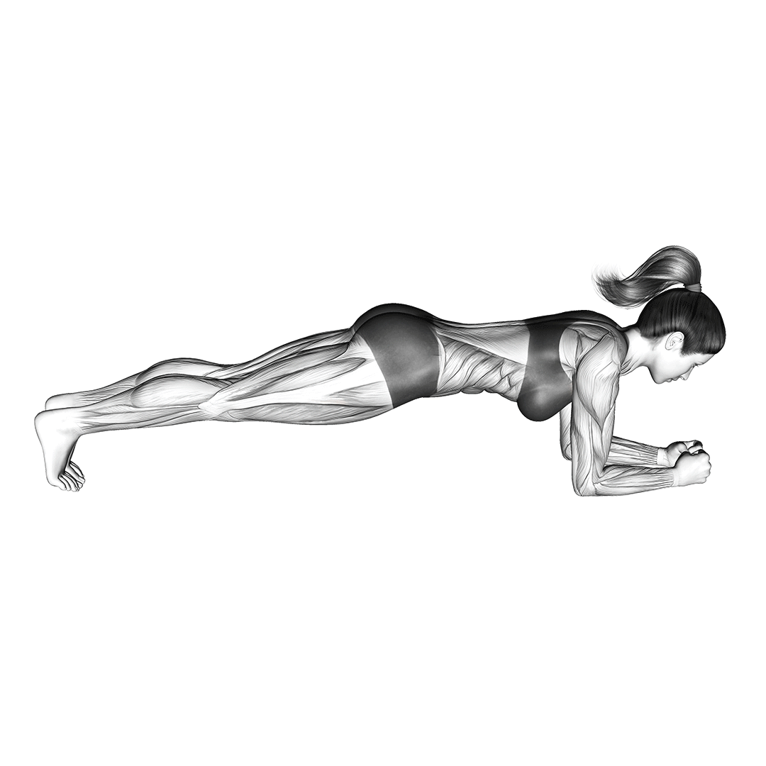 Body Saw Plank Benefits, Muscles Worked, and More Inspire US