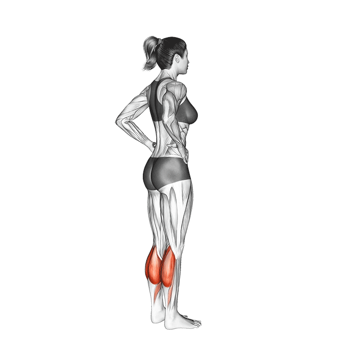 5 Best Bodyweight Exercises for Calves (with Pictures!) Inspire US