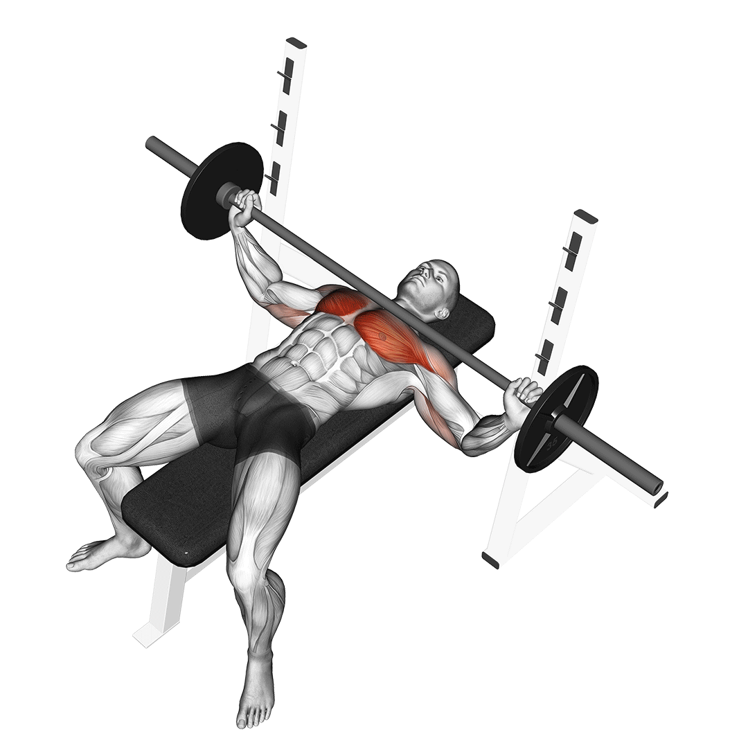 Wide Grip Bench Press 3 Big Benefits & Muscles Used Inspire US