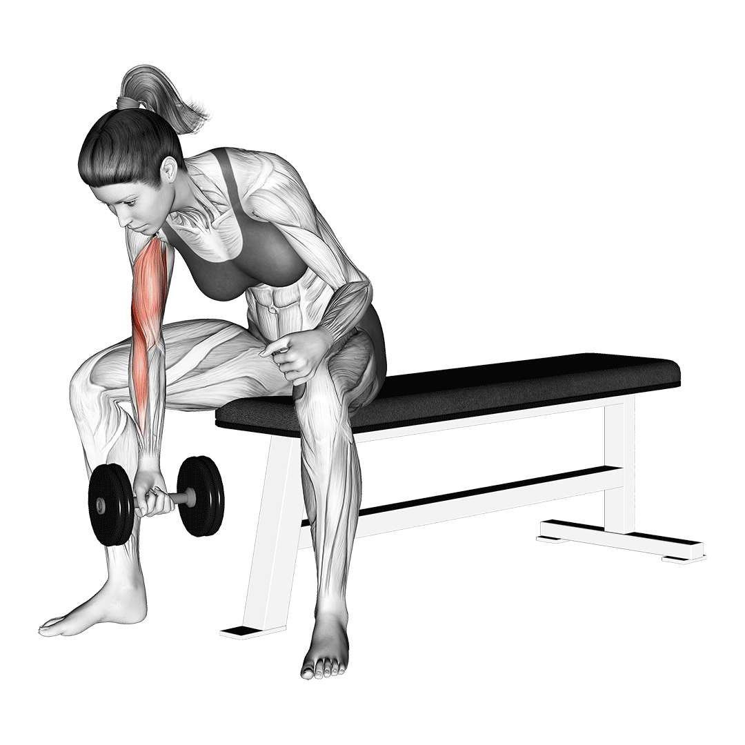 8 Effective Preacher Curl Alternatives (With Pictures) Inspire US