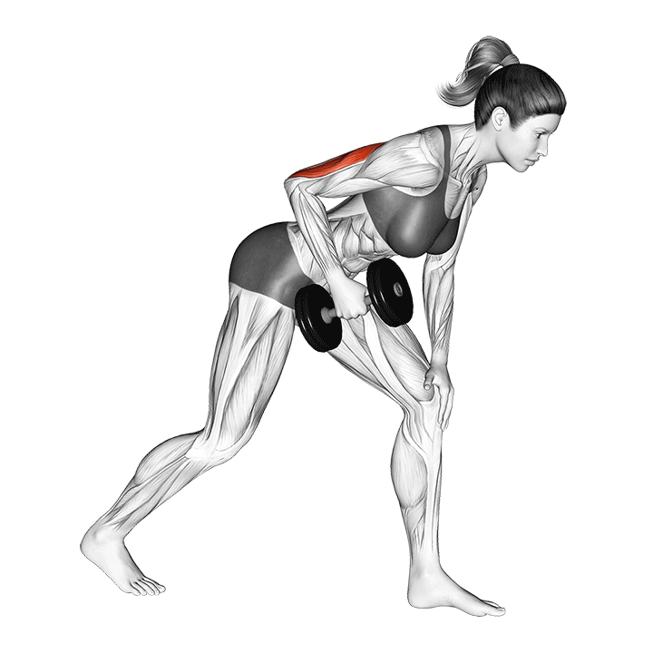 6 Best Lateral Head Triceps Exercises (with Pictures!) Inspire US