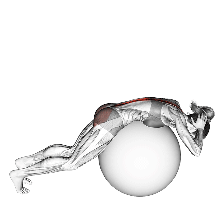 8 Effective Back Extension Alternatives (With Pictures!) Inspire US