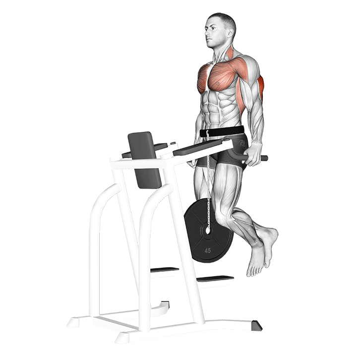 Dips vs Bench Press Which is Best? Inspire US