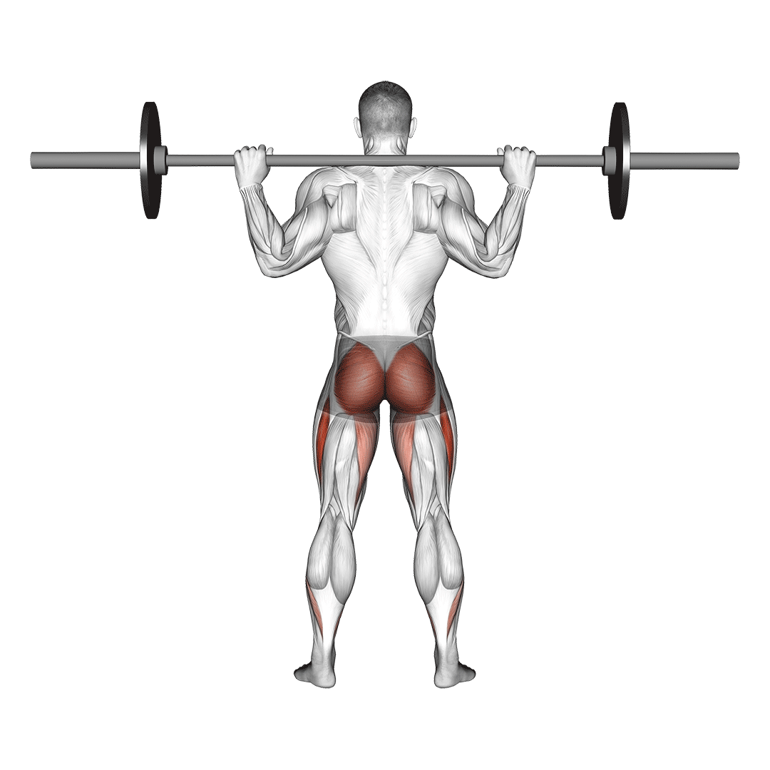 Squat Hurts Lower Back 6 Common Reasons Explained Inspire US