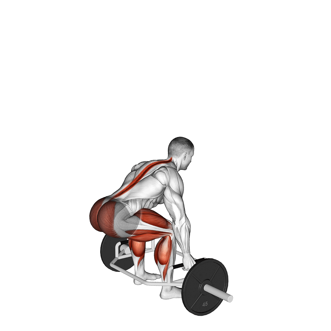 8 Highly Effective Box Jump Alternatives (With Pictures!) Inspire US