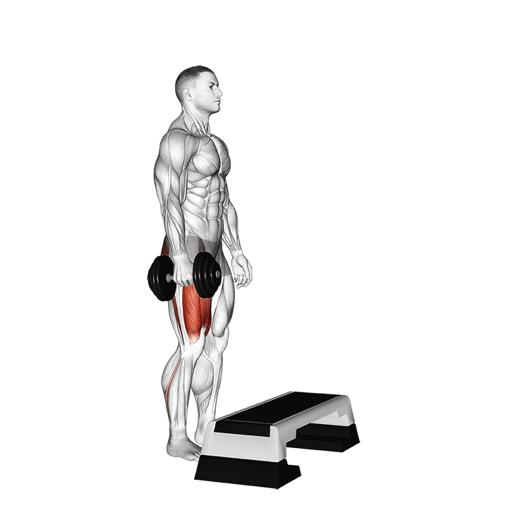 8 Highly Effective Box Jump Alternatives (With Pictures!) Inspire US