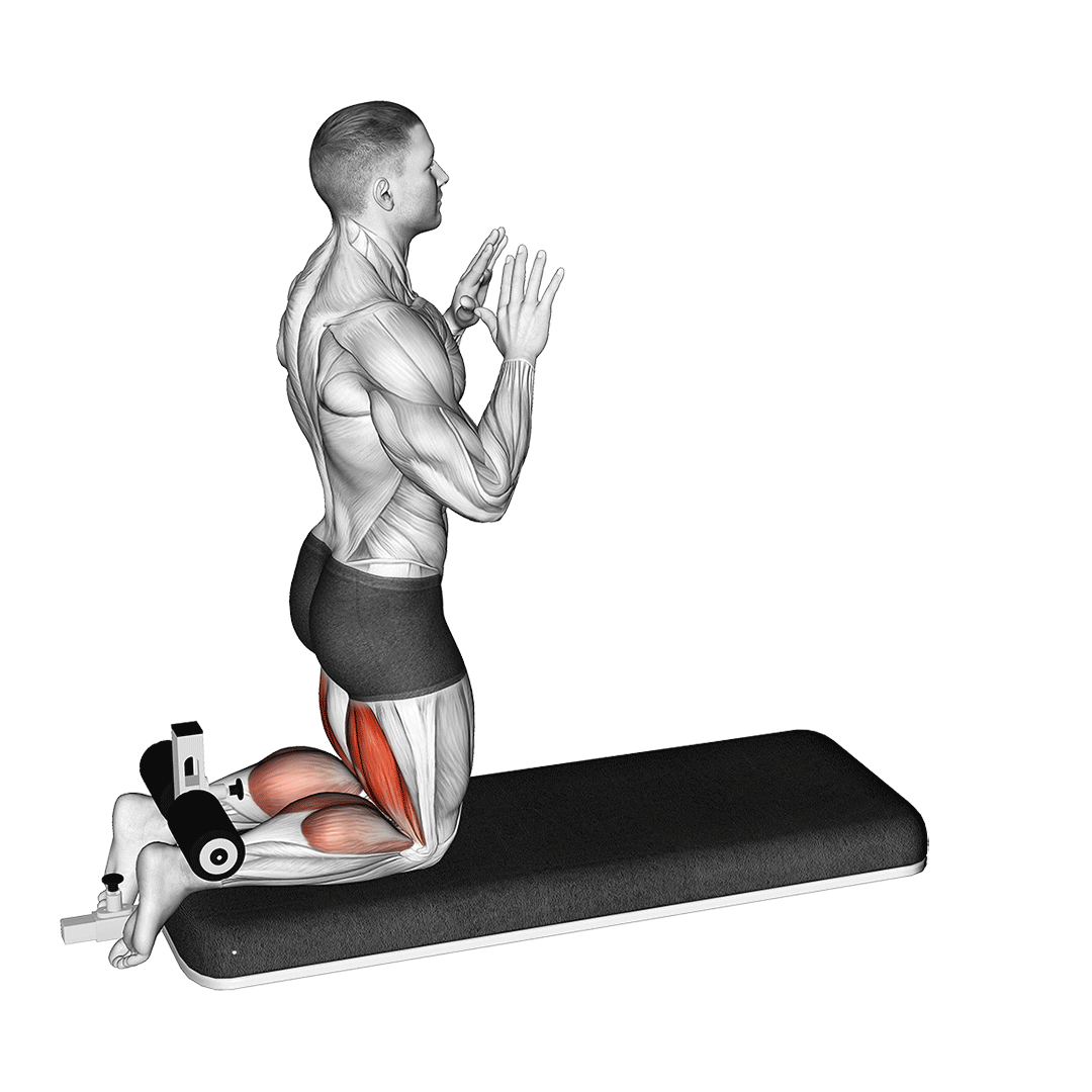 4 Effective Lying Leg Curl Alternatives For Hamstring Gains Inspire US