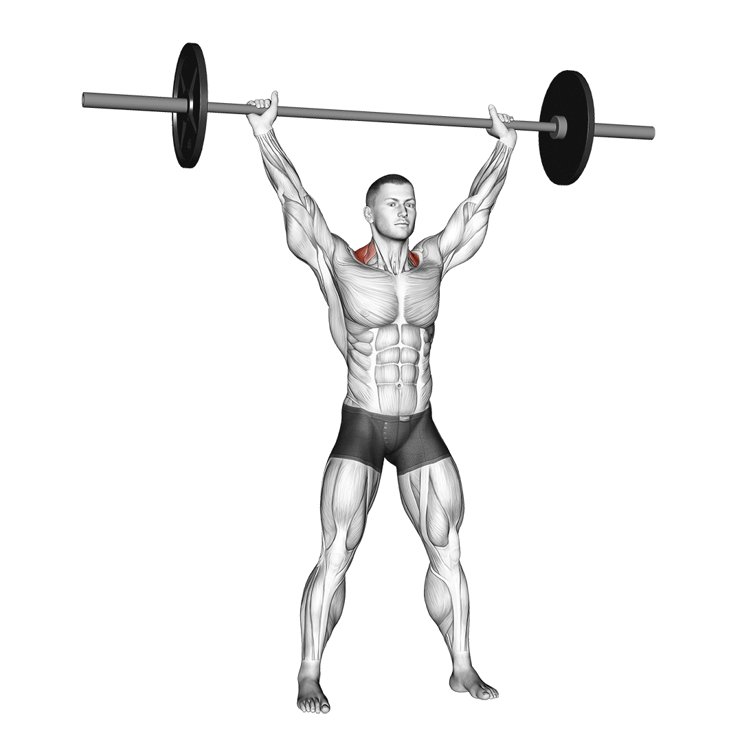5 Shrug Alternatives to Build Huge Traps Inspire US