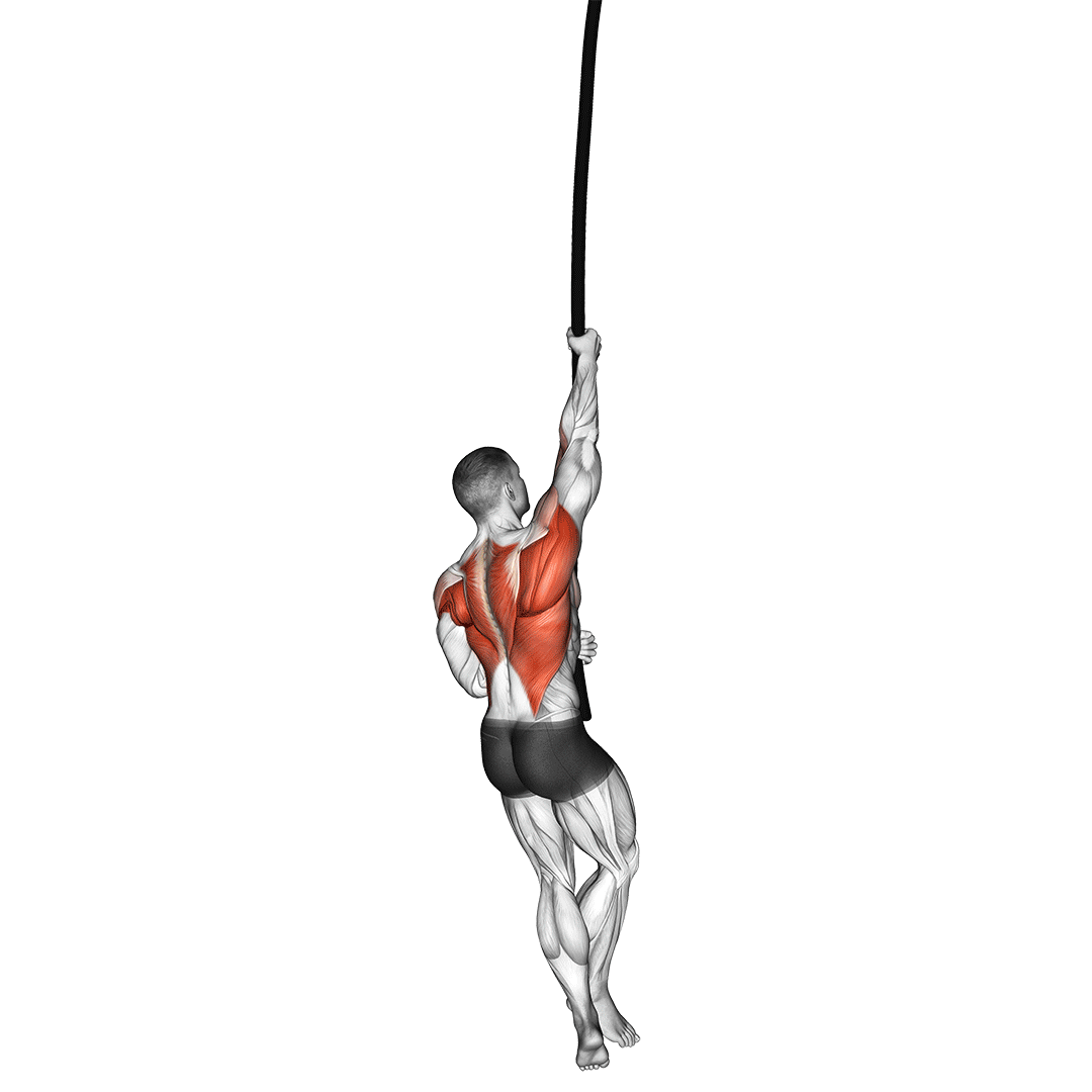 5 Best Rope Climb Alternatives (with Pictures!) Inspire US