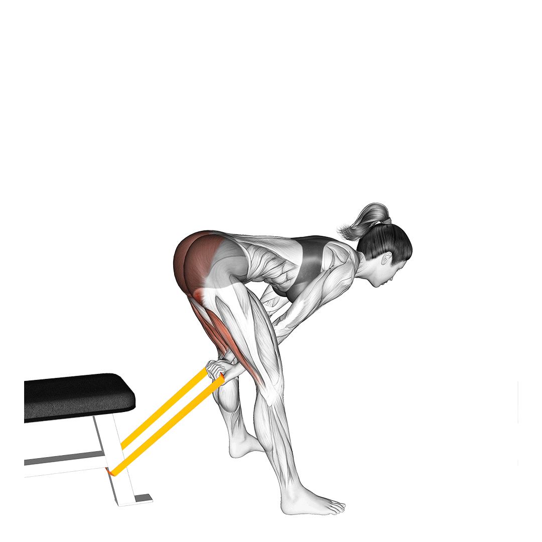 Hamstring Exercises With Bands