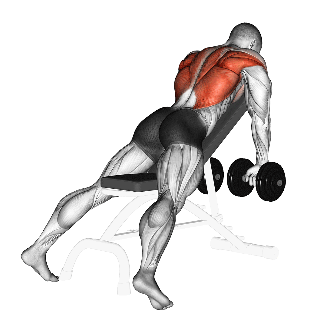 7 Dumbbell Lat Exercises VTaper at Home! Inspire US