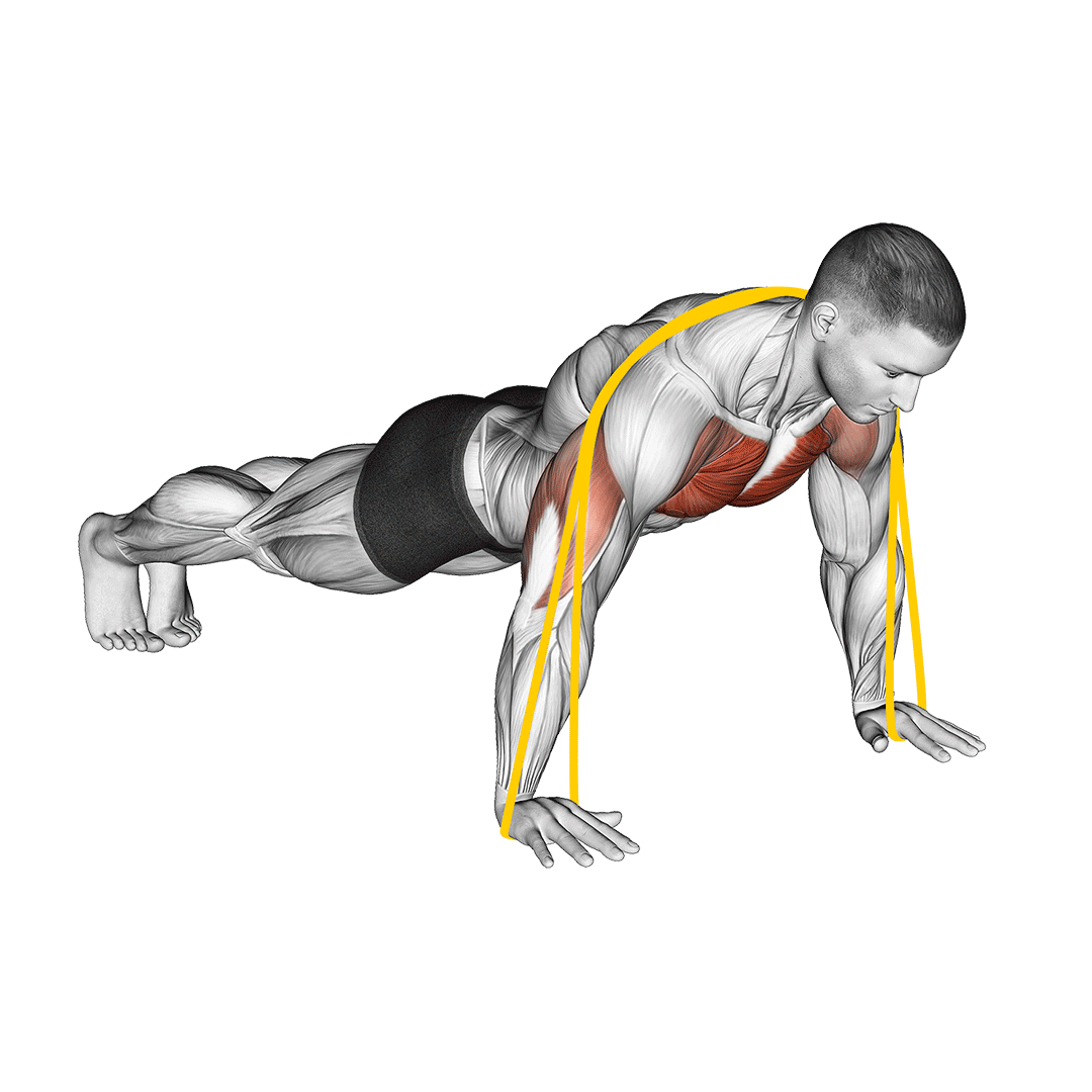 How to Make PushUps Harder Methods Explained Inspire US