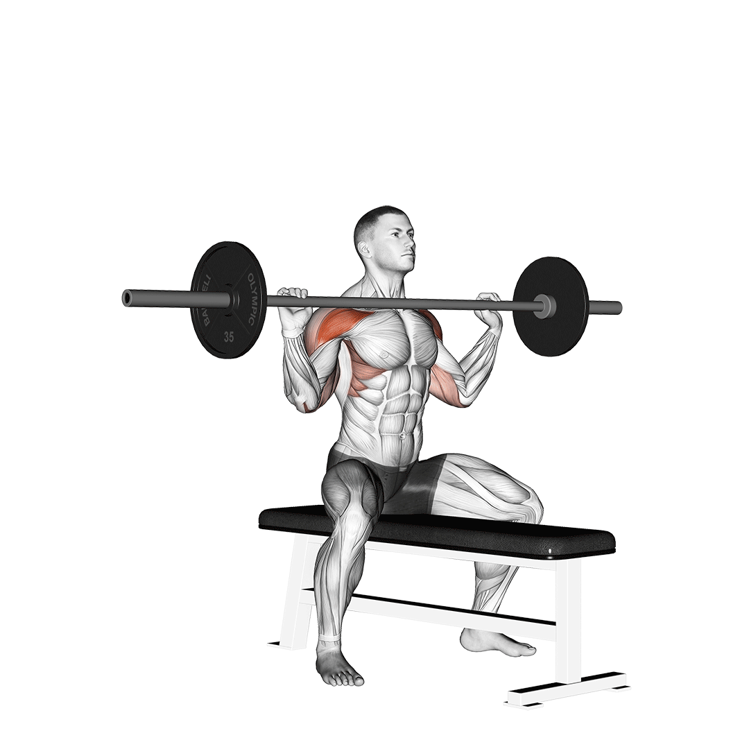 Military Press Benefits, Muscles Used, and More Inspire US