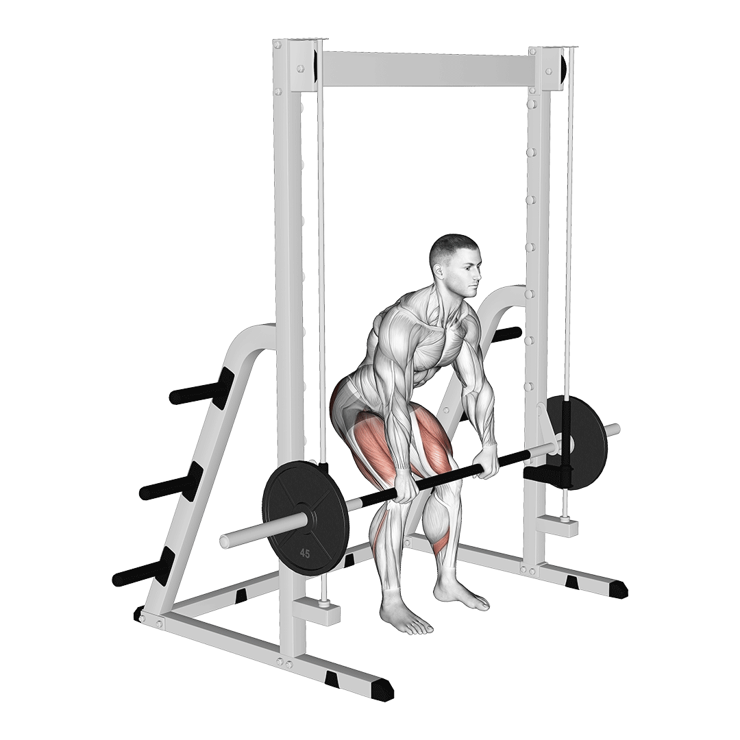 5 Best Smith Machine Back Exercises (with Pictures!) Inspire US