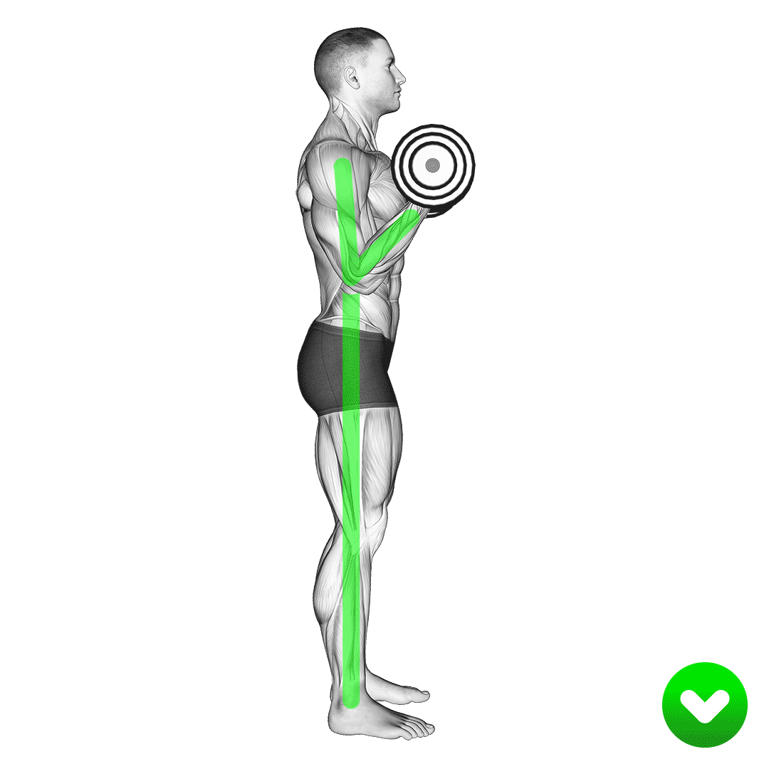 Inner Elbow Pain After Bicep Curls 6 Potential Reasons Explained