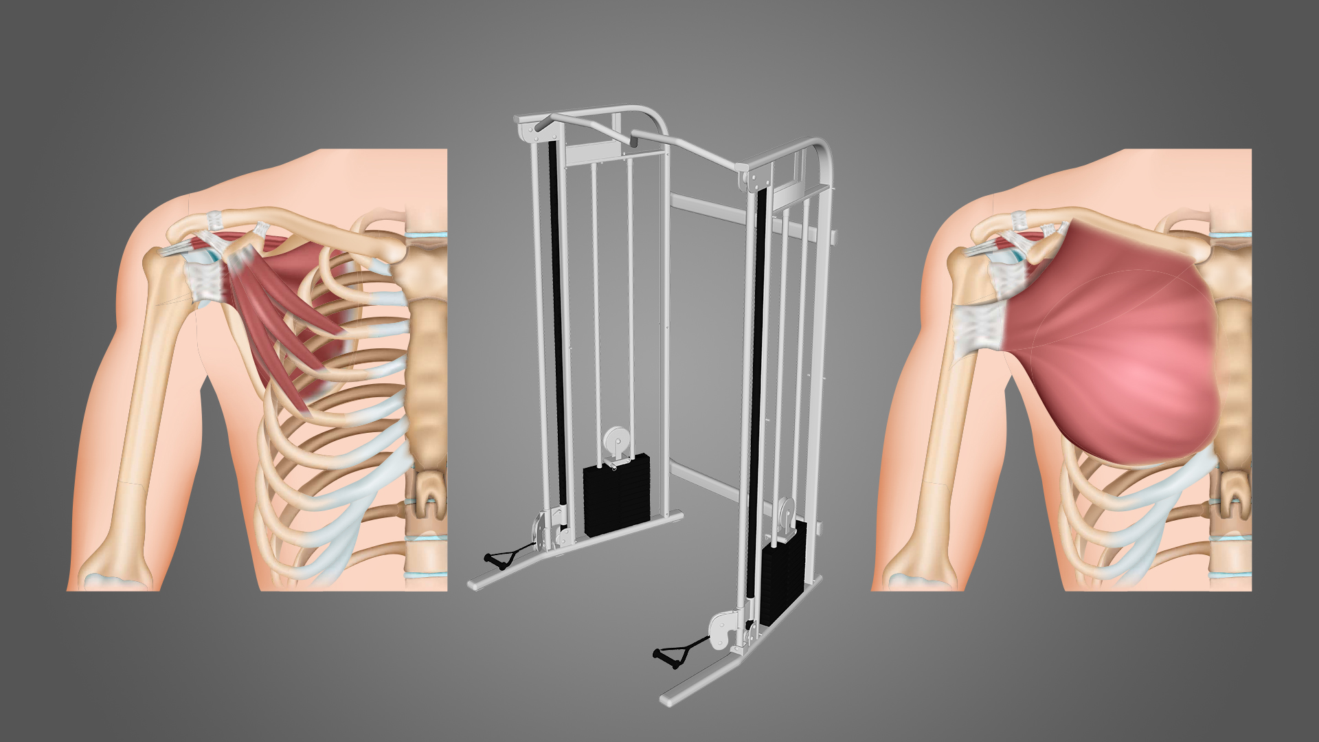 4 Best Cable Chest Exercises (with Pictures!) Inspire US