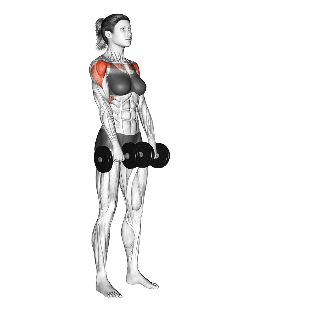 5 Best Compound Exercises for Shoulders (with Pictures!) Inspire US