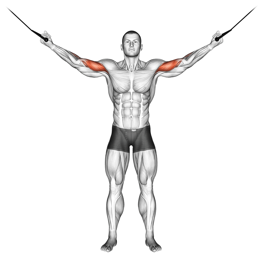 Cable Arm Exercises Triceps and Biceps (with Pictures!) Inspire US
