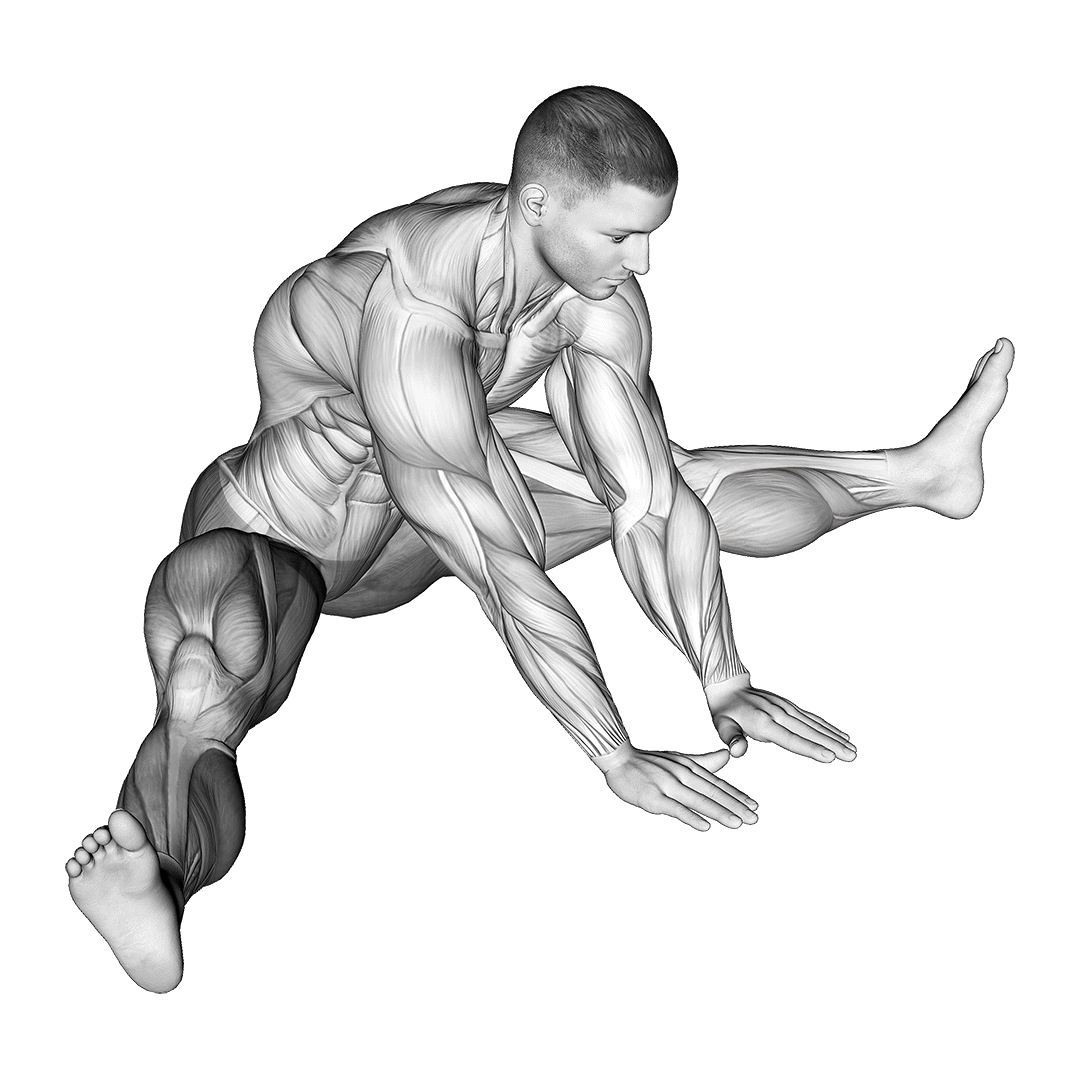 Hip Adductors Stretch