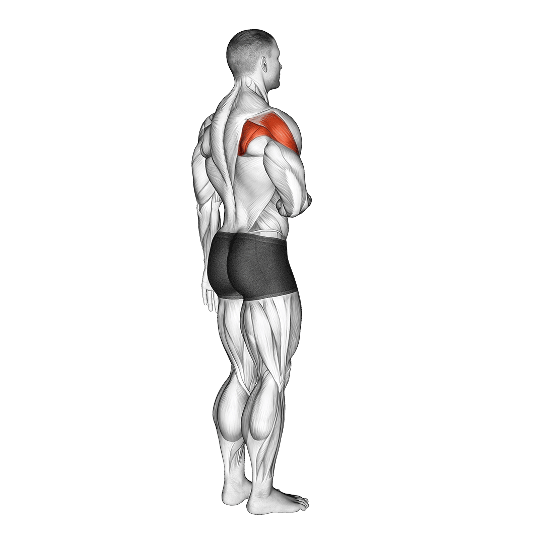 Shoulder Tendonitis 5 Stretches and 5 Exercises (with Pictures