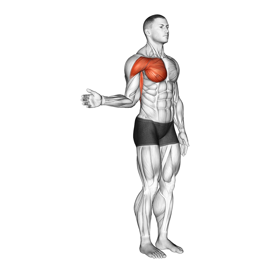 Shoulder Tendonitis 5 Stretches and 5 Exercises (with Pictures
