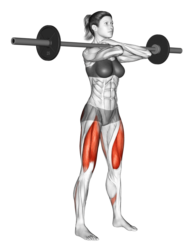 Front Squat Hand Position 5 Ways to Hold the Bar Inspire US