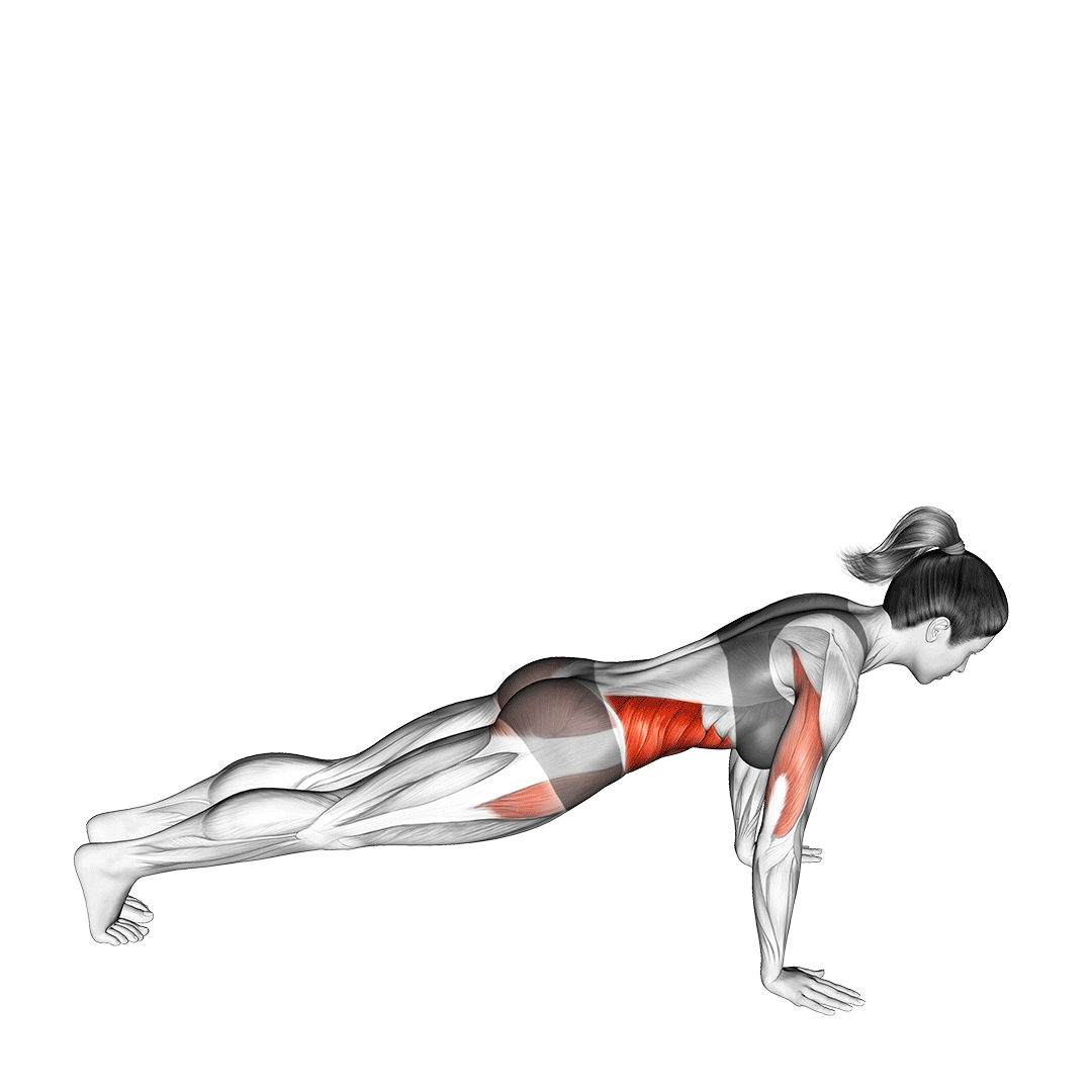 Pushups with Rotation Benefits, Muscles Worked, and More Inspire US