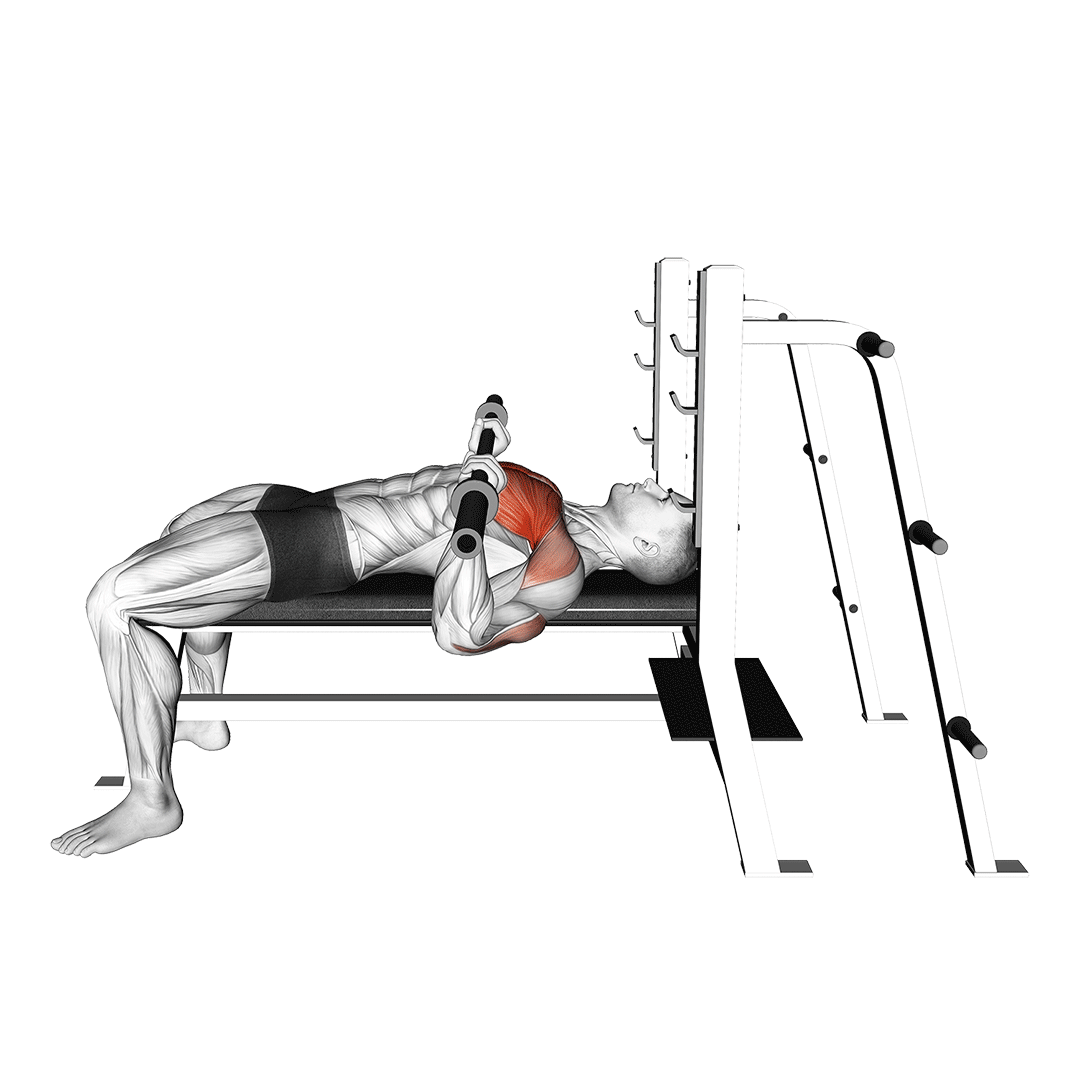 Bench Press Arch The Purpose Explained Inspire US