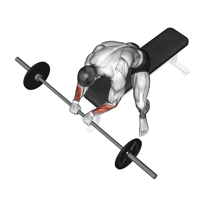 Barbell Reverse Wrist Curls Benefits, Muscles Worked, and More