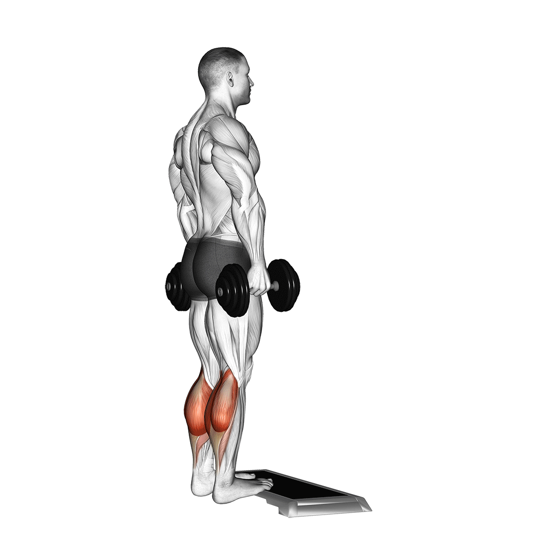 Seated Calf Raises Benefits, Muscles Worked, and More Inspire US