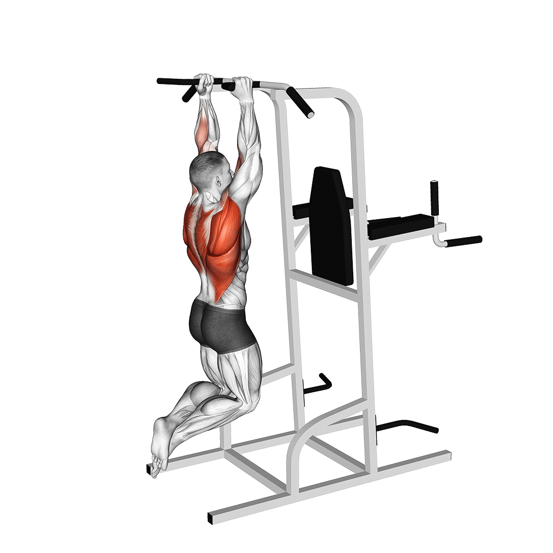 3 Best Pull Ups for Biceps (with Pictures!) Inspire US