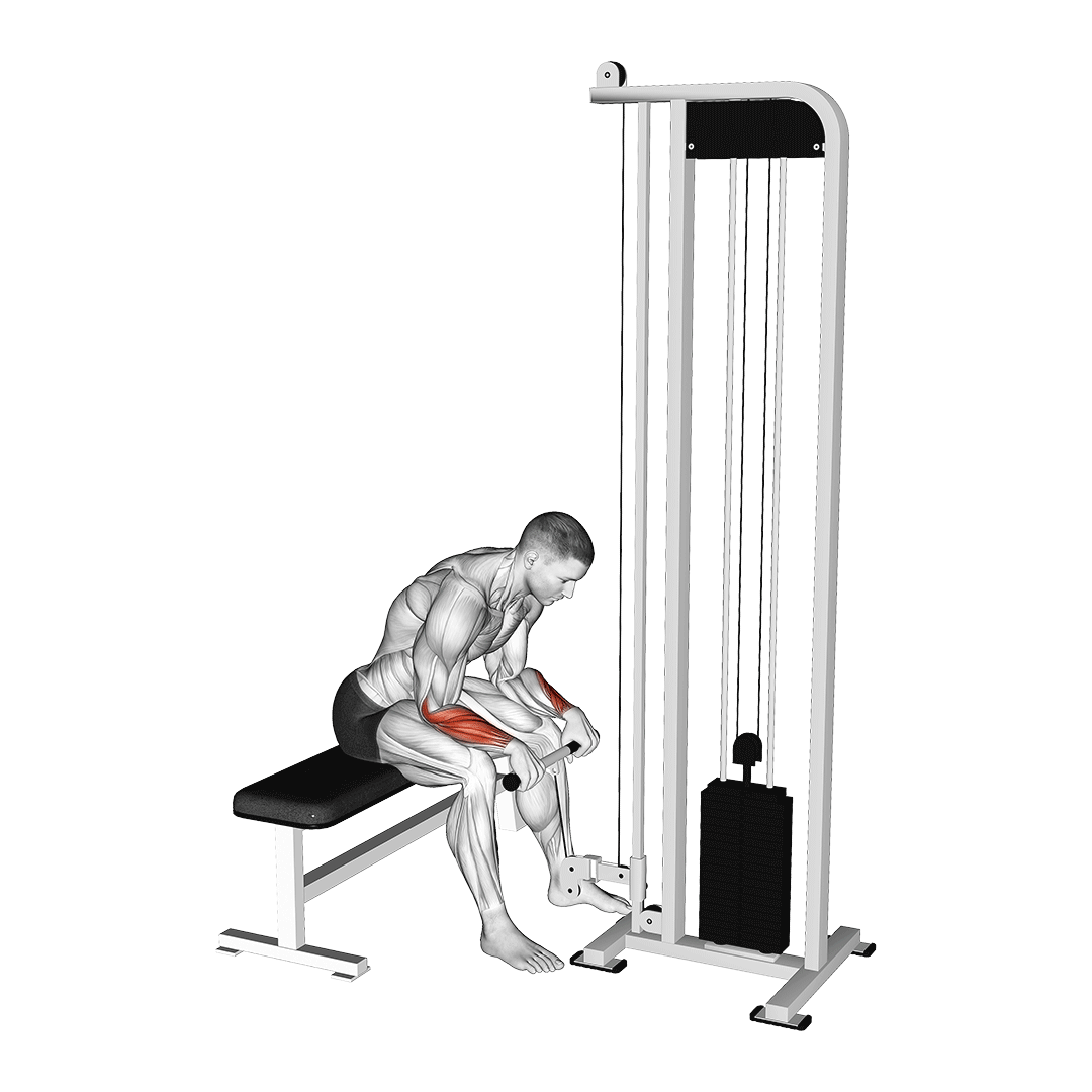 Barbell Reverse Wrist Curls Benefits, Muscles Worked, and More