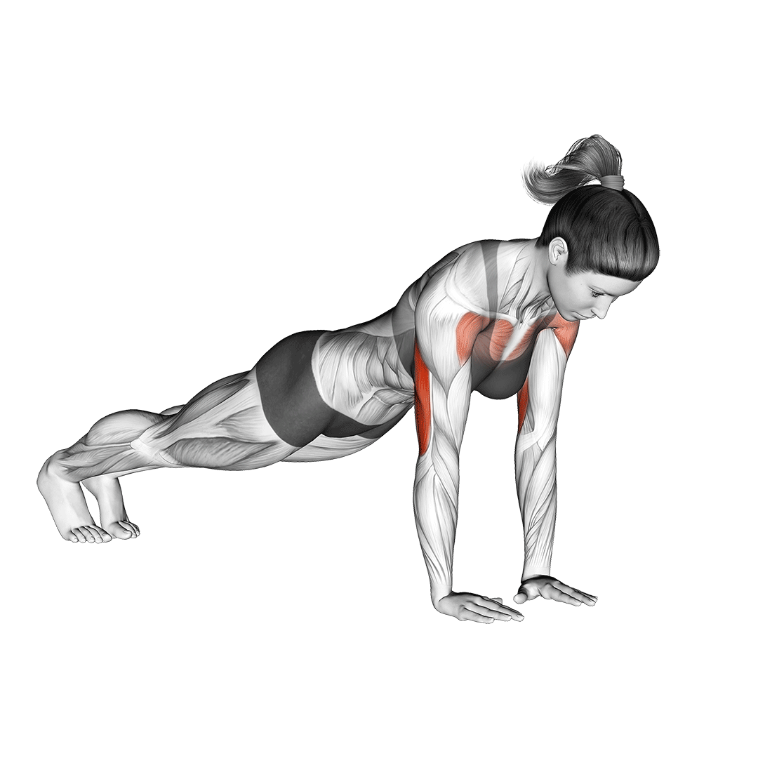 18 Types of Push Ups (Variations) Novice, Intermediate, Advanced
