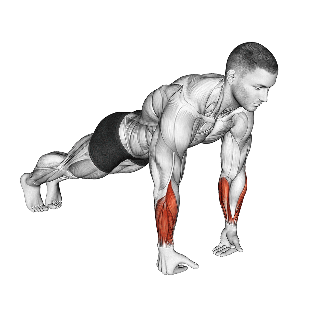Wrist Push Up Benefits, Muscles Worked, and More Inspire US