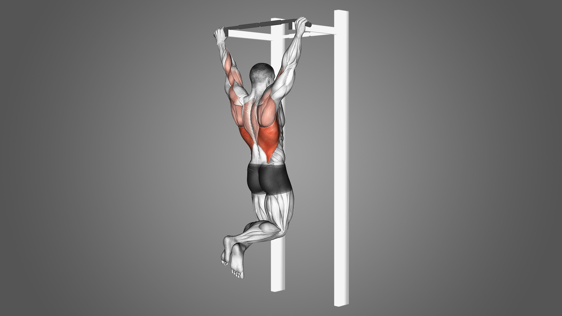 Pull Ups Benefits, Muscles Worked, and More Inspire US