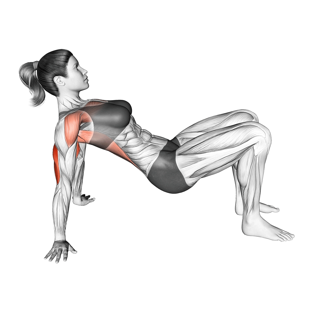 Do Push Ups Work Biceps? Yes and No Inspire US